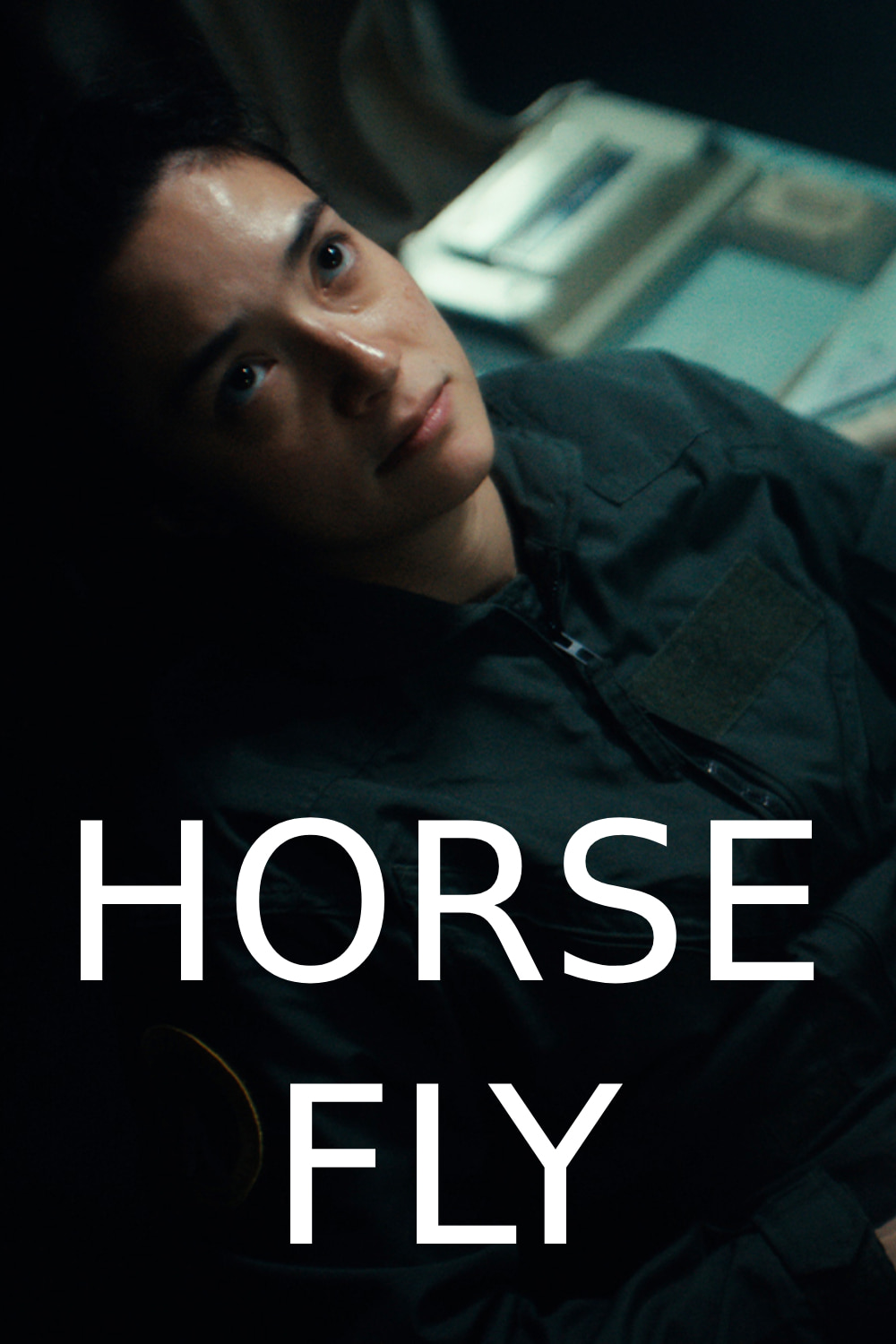 Horse Fly
