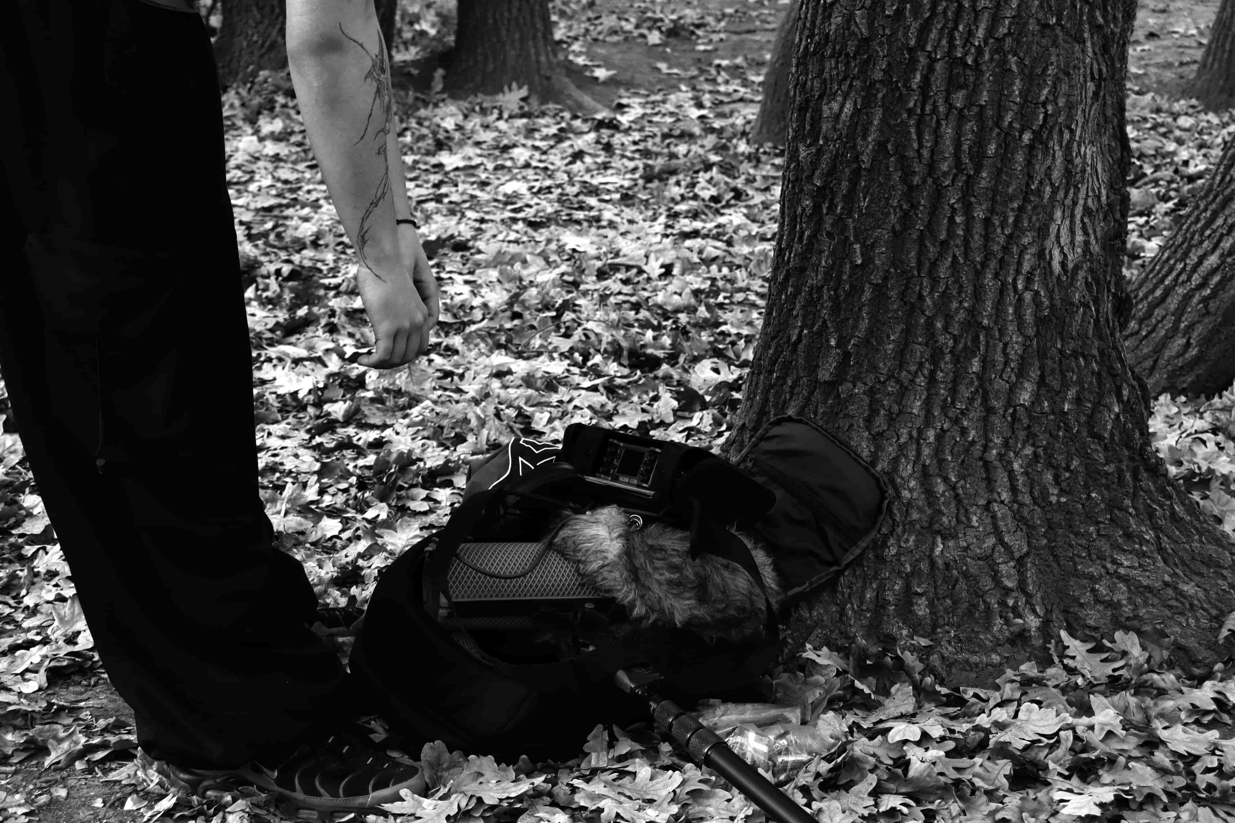 Field recording session, black and white